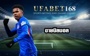 ขายโพยบอล