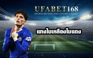 แทงใบเตือนฟุตบอล